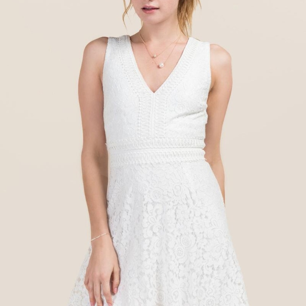 Malinda Metallic Lace A-Line Dress -- francesca's